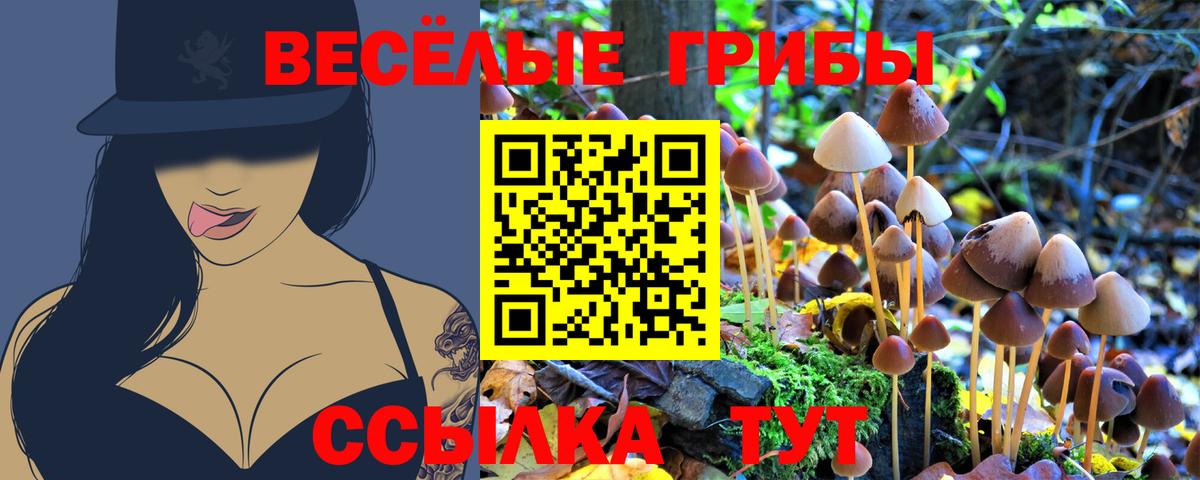 Галлюциногенные грибы GOLDEN TEACHER  Вход с VPN  Нефтеюганск 
